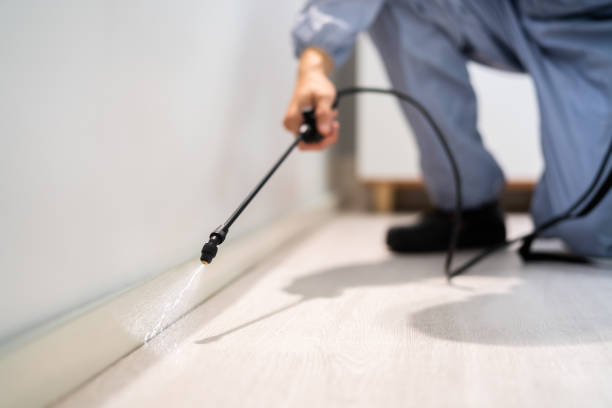 Licensed Pest Control service in Greenwood, MS - Show Me Pest Control